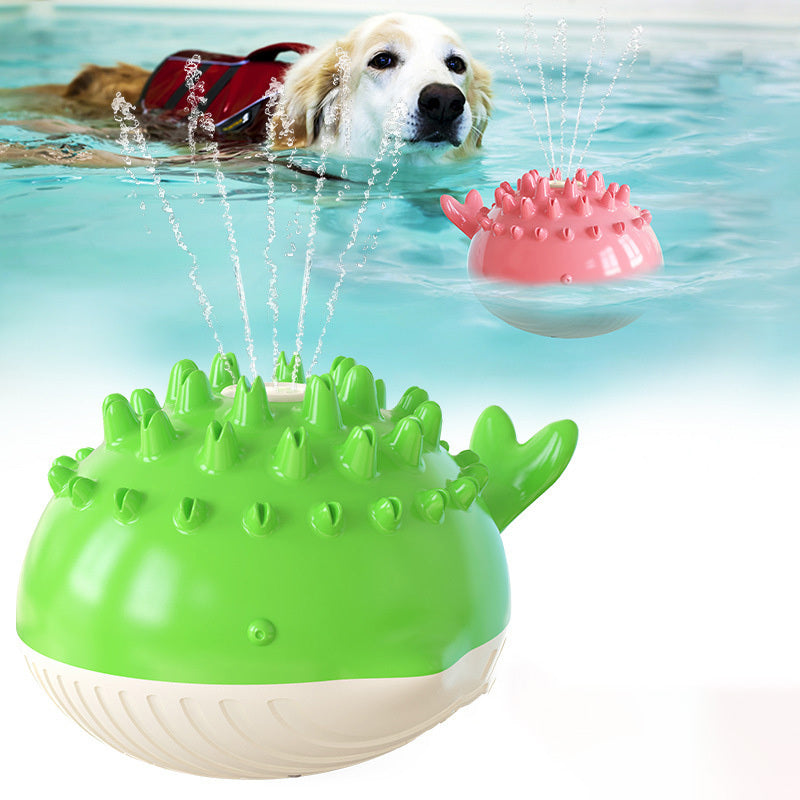 Hot Summer Swimming Water Spray Dog Toy