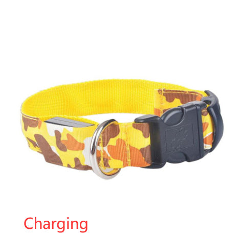 Camouflage luminous dog collar