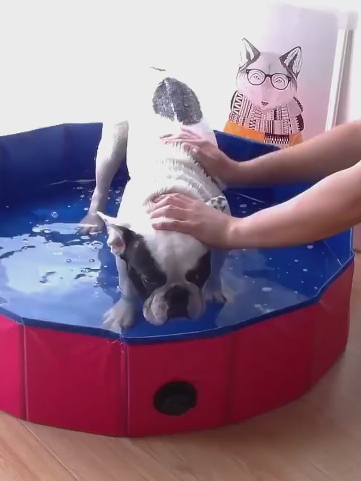 Portable Pet Pool Foldable Dog